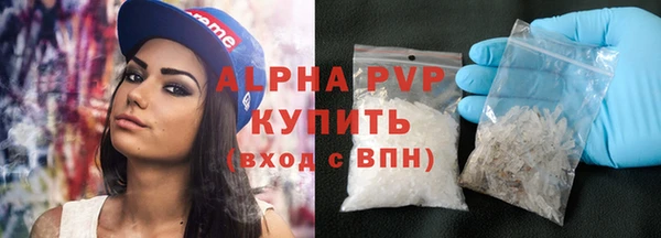 стаф Пестово