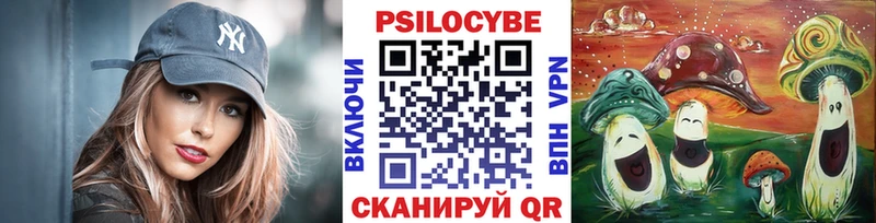дарк нет телеграм  Кораблино  Псилоцибиновые грибы GOLDEN TEACHER 
